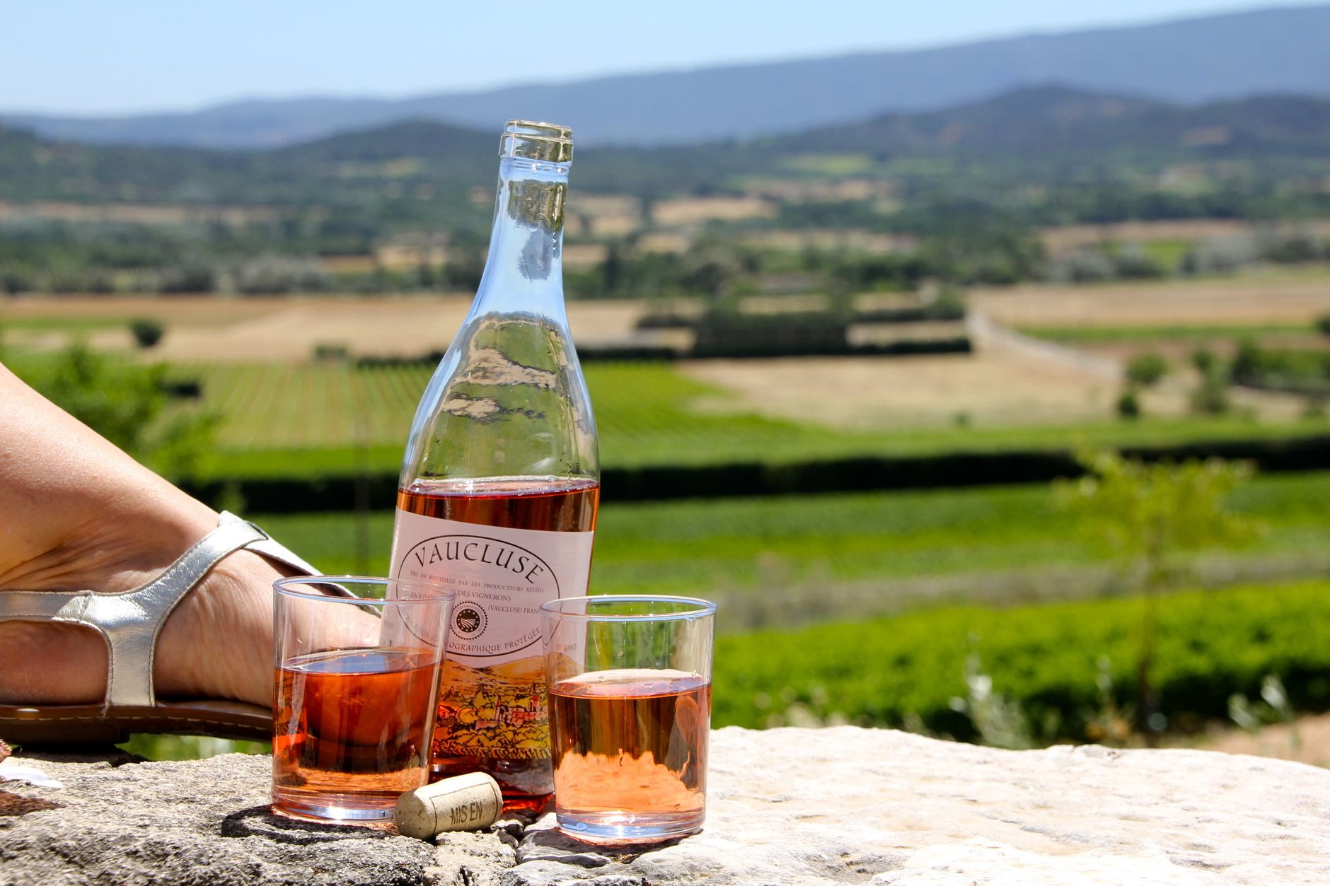 Dégustation de vin en Provence dans un vignoble secret