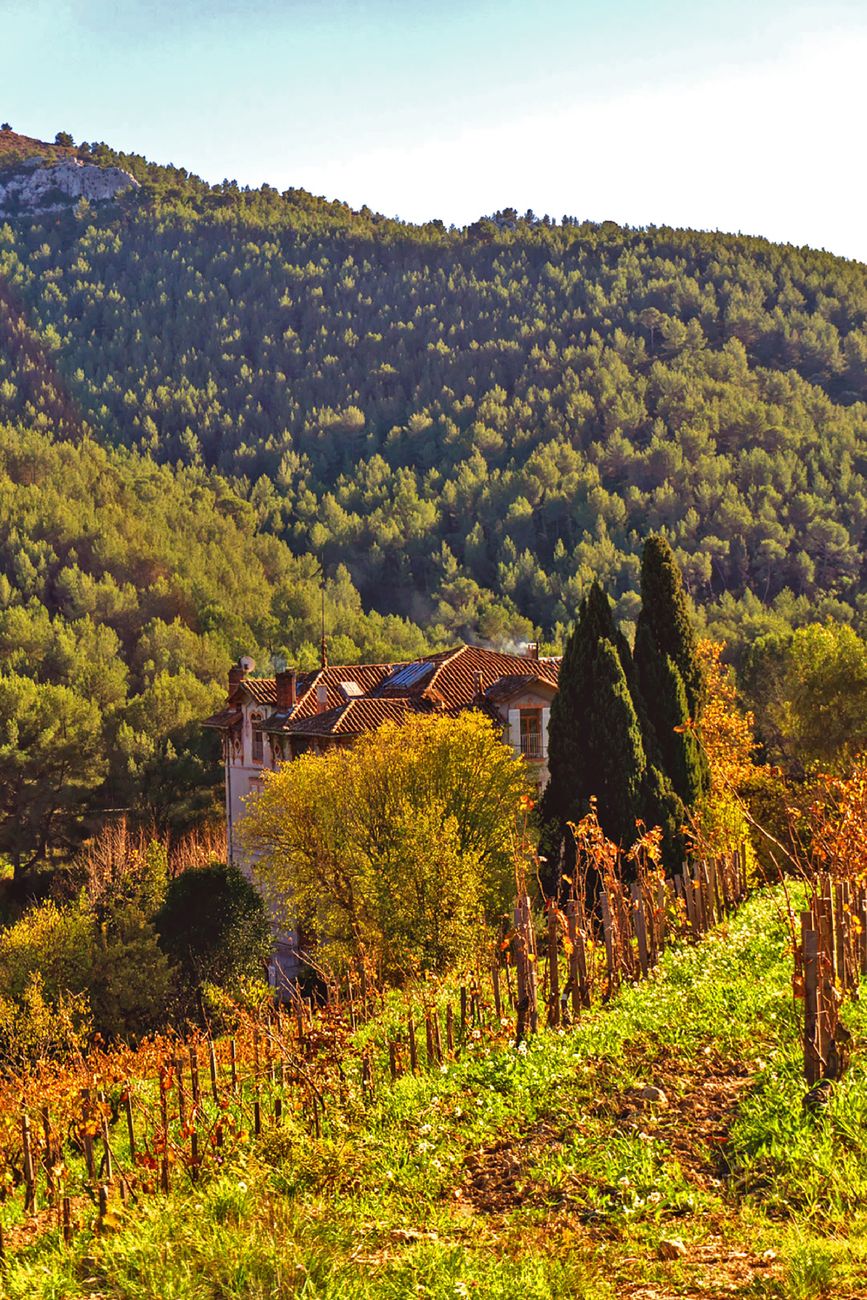 Château en France au soleil couchant