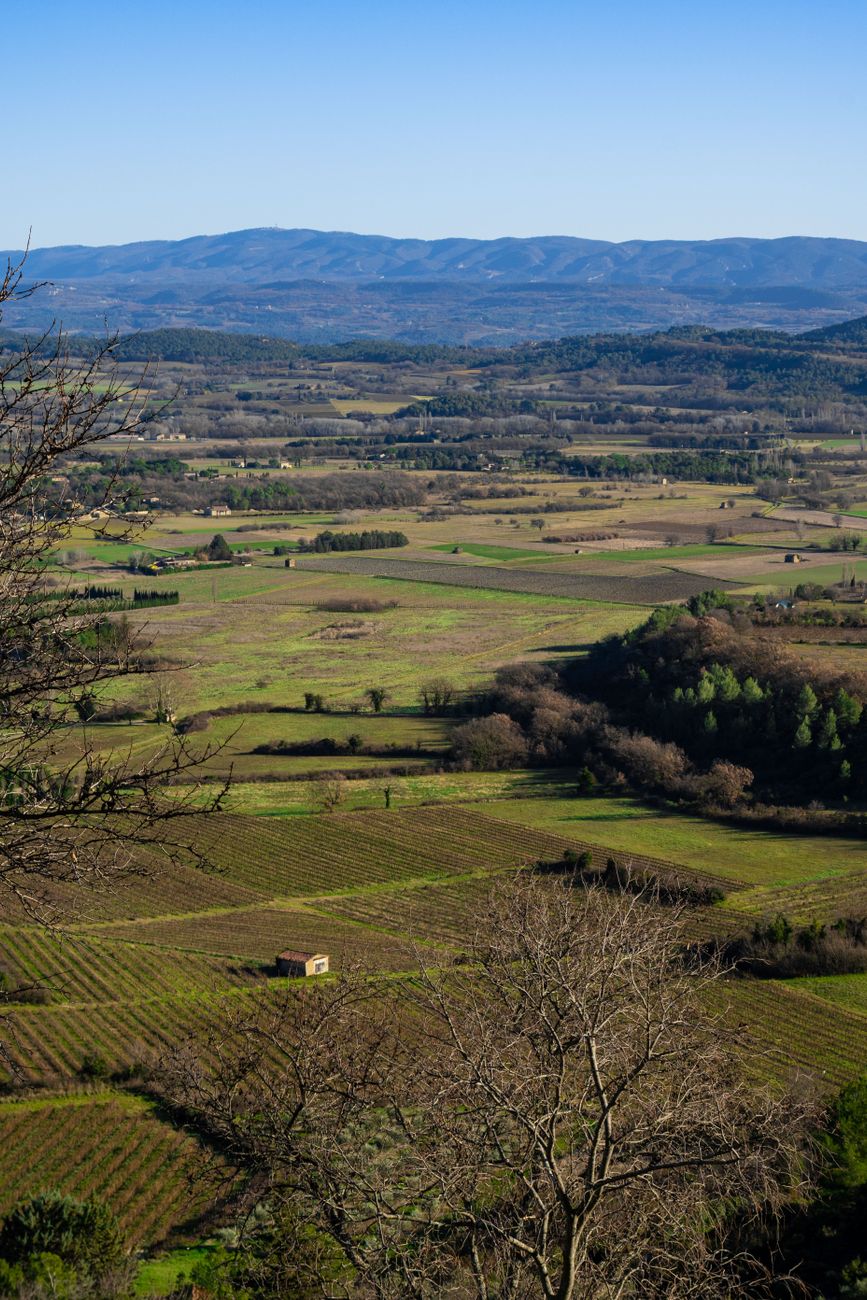 Château en Provence et vignobles